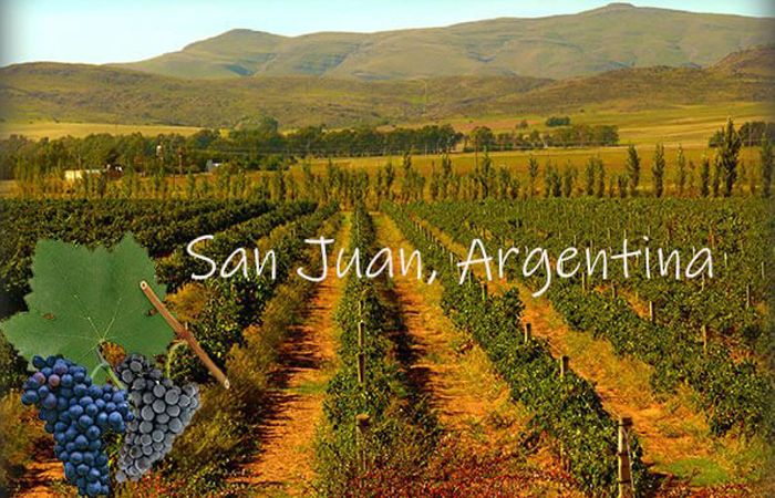 Rượu Vang Argentina